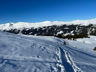 Fototapeta na wymiar Wonderful winter hiking trails and traces in the fresh alpine snow cover of the Swiss Alps and over the tourist resort of Arosa - Canton of Grisons, Switzerland (Schweiz)