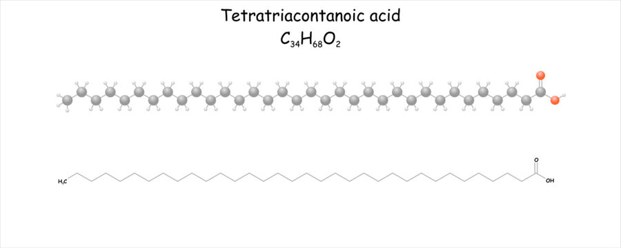 Simplified structural scheme and formula of tetratriacontanoic acid. Occurs in natural waxes e.g wild beeswax.