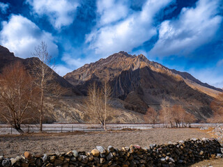 landscape mountains and trees