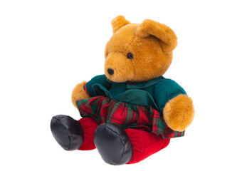 soft toy bear isolated