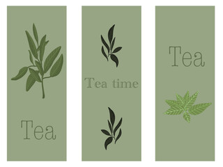 Vector set of tea print with green leaves