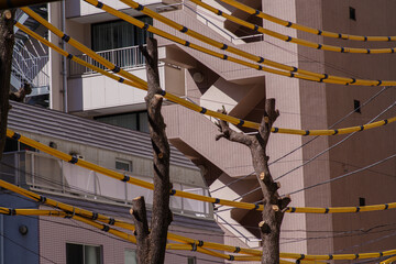 東京の赤坂6丁目の黄色い電線カバー