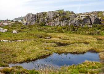 Fototapeta na wymiar Beautiful natural swamp on the rocks at the hike to Preikestolen, Norway