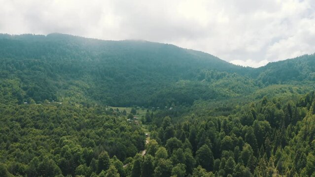 Aerial view of Forest in Zonguldak. 4K Footage in Turkey
