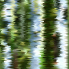 Color flix intro animation style illustration