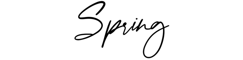 Hello Spring lettering phrase on blank background. Modern calligraphy inspirational quote. Vector illustration. 