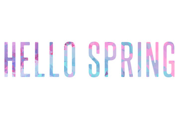 Hello Spring lettering phrase on blank background. Modern calligraphy inspirational quote. Vector illustration. 