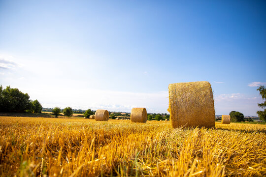 Meule de foin et botte de paille dans la campagne apr&egrave;s la moisson du bl&eacute;.