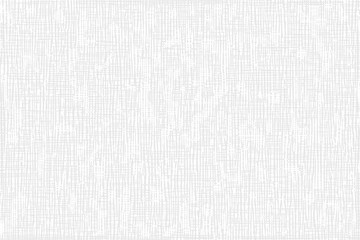 Light gray texture, vector background
