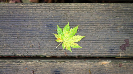 Fototapeta premium 문경