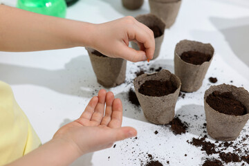 Little girl planting vegetable seeds into peat pots with soil at white table, closeup