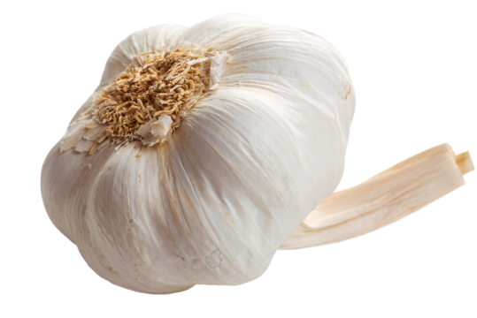 PNG. Garlic. A head of ripe garlic on a white background. Isolate