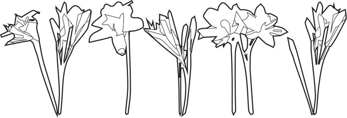 Black silhouettes of grass, flowers and herbs isolated on white background. Hand drawn sketch flowers.