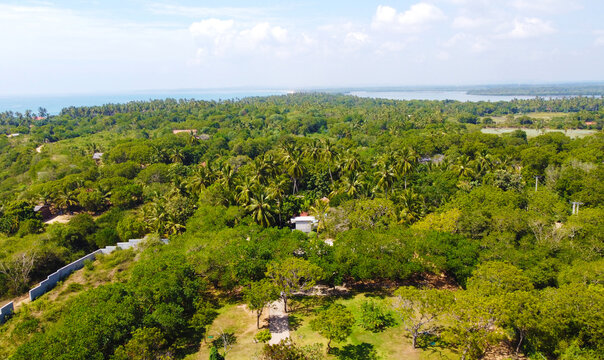 Aerial view of a tropical park and a forest with palm trees. Beautiful tropical wallpapers for tourism and advertising. Asian landscape, drone photo