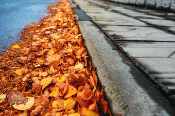 Yellow leaves lie near curb of sidewalk. Boring autumn background..