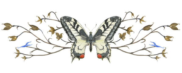 Plakat Butterfly machaon and meadow grass banners. Natural watercolor illustration, vignette for greetings and invitation