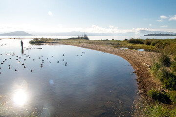 Morning view over a calm Lake Taupo 