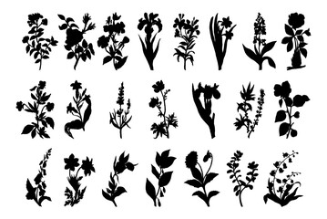 Fototapeta na wymiar flowers plant silhouette set