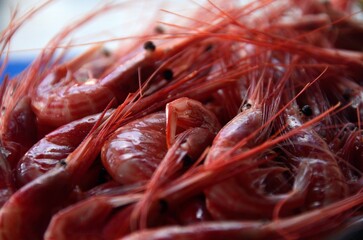 Gambas rojas en Valle Gran Rey, La Gomera