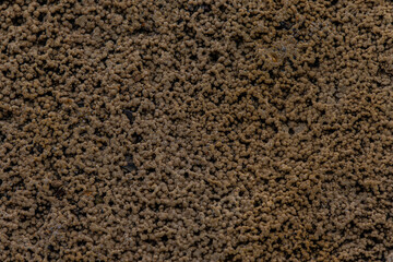texture of the ground