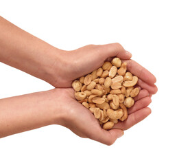 Hand holding peanuts isolated on transparent layered background.