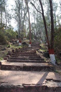 Stairs in the forest, Thane, India.