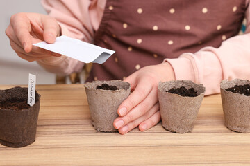 Woman planting vegetable seeds into peat pots with soil at wooden table, closeup