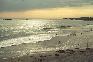 Golden Shoreline – Tranquil Beach at Sunset