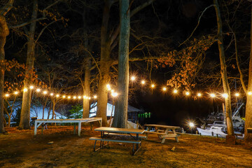 Solomons, Maryland USA Light garlands at night in a park - obrazy, fototapety, plakaty