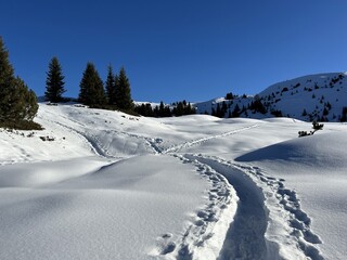 Wonderful winter hiking trails and traces in the fresh alpine snow cover of the Swiss Alps and over the tourist resort of Arosa - Canton of Grisons, Switzerland (Schweiz)