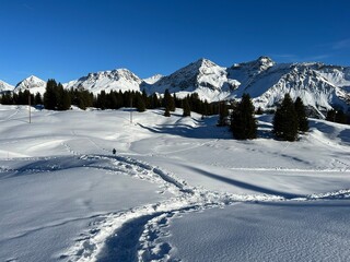 Fototapeta na wymiar Wonderful winter hiking trails and traces in the fresh alpine snow cover of the Swiss Alps and over the tourist resort of Arosa - Canton of Grisons, Switzerland (Schweiz)