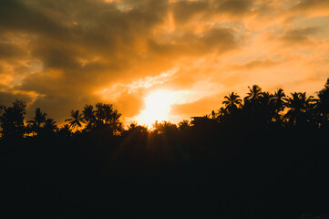Fototapeta na wymiar Sunrise over the palmtrees, Bali, Indonesia