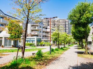 郊外の住宅地　新緑の生活道路