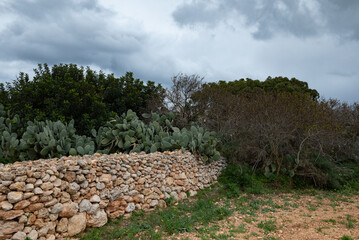 campagne de Gozo l'hiver