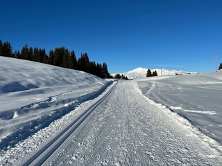 Obraz premium Excellently arranged and cleaned winter trails for walking, hiking, sports and recreation in the area of the Swiss tourist winter resort of Arosa - Canton of Grisons, Switzerland (Schweiz)
