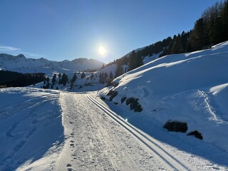 Naklejka premium Excellently arranged and cleaned winter trails for walking, hiking, sports and recreation in the area of the Swiss tourist winter resort of Arosa - Canton of Grisons, Switzerland (Schweiz)