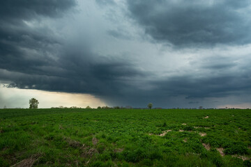 Fototapeta premium Rainy cloudy sky over green fields, Czulczyce, Poland