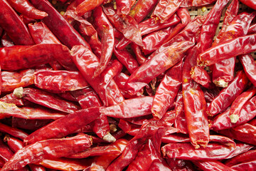 dried red chili pepper background