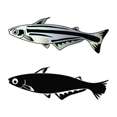 set of catfish vector illustration