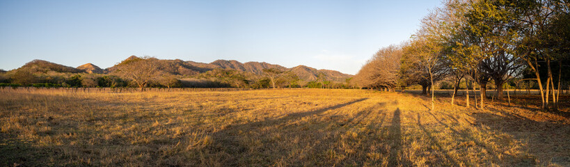 Panoramic view of a field during the dry season in the province of Guanacaste in Costa Rica