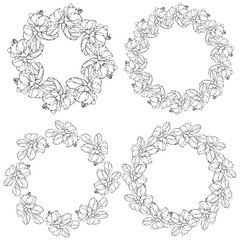 wreaths of flower , colouring book