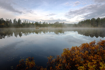 Beautiful scenic view over forest lake at sunrise with mist