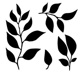 Set of leaves. Hand drawn decorative elements. Vector illustrationof silhouettes with leaves on a white background. Design elements