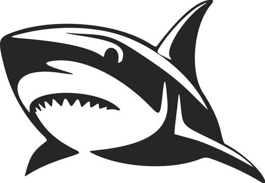 An exquisite black and white shark logo to elevate your brand's image.