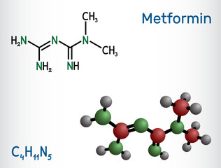 Metformin molecule. It is biguanide antihyperglycemic agent  used in management of type II diabetes. Structural chemical formula, molecule model.