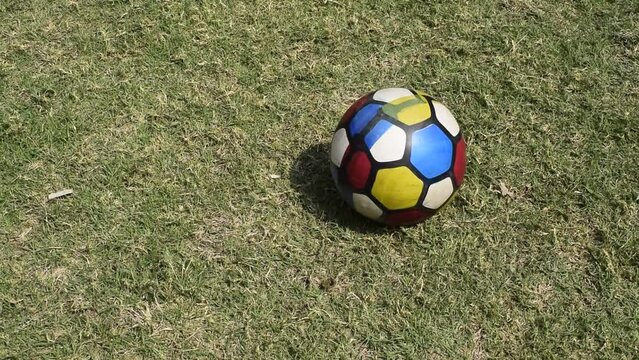 Colorful ball kept on the ground with green grass