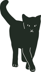 black cat cute and the shadow