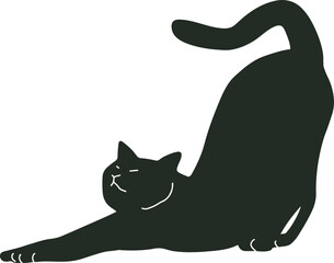 black cat cute and the shadow