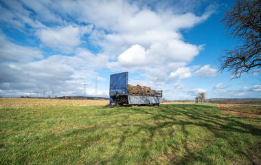 Fototapeta premium Baumstamm und Brennholz auf Anhänger