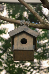 handmade wooden bird house on a tree